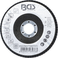 BGS 3976 Fächer-Schleif-Scheibe | Ø 125 mm | K 80