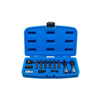 BGS 4246 Lichtmaschinen Bit-/Bit-Einsatz-Satz | Antrieb 12,5 mm (1/2") | 13-tlg.