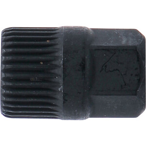BGS 4248-4 33-Zahn-Aufsatz | Antrieb Außensechskant | für Art. 4248 | 17 mm
