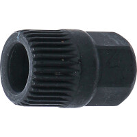 BGS 4248-4 33-Zahn-Aufsatz | Antrieb Außensechskant | für Art. 4248 | 17 mm