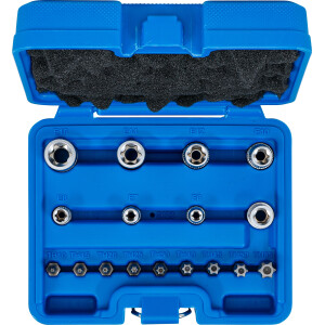 BGS 5023 Bit- und Steckschlüssel-Satz | E-Profil / T-Profil (für Torx) | 17-tlg.