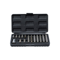 BGS Diy 5040 Bit-Satz | Antrieb Außensechskant 10 mm (3/8") | T-Profil (für Torx) | 15-tlg.