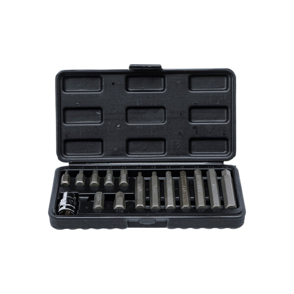 BGS Diy 5070 Bit-Satz | Antrieb Außensechskant 10 mm (3/8") | Innensechskant 15-tlg.