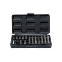BGS Diy 5070 Bit-Satz | Antrieb Außensechskant 10 mm (3/8") | Innensechskant 15-tlg.