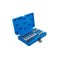 BGS 5173 Bit-Einsatz-Satz | Antrieb Innenvierkant 6,3 mm (1/4") / 12,5 mm (1/2") | T-Profil (für Torx) | 18-tlg.