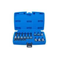 BGS 5174 Bit-Einsatz-Satz | Antrieb Innenvierkant 6,3 mm (1/4") / 12,5 mm (1/2") | T-Profil (für Torx) mit Bohrung | 18-tlg.
